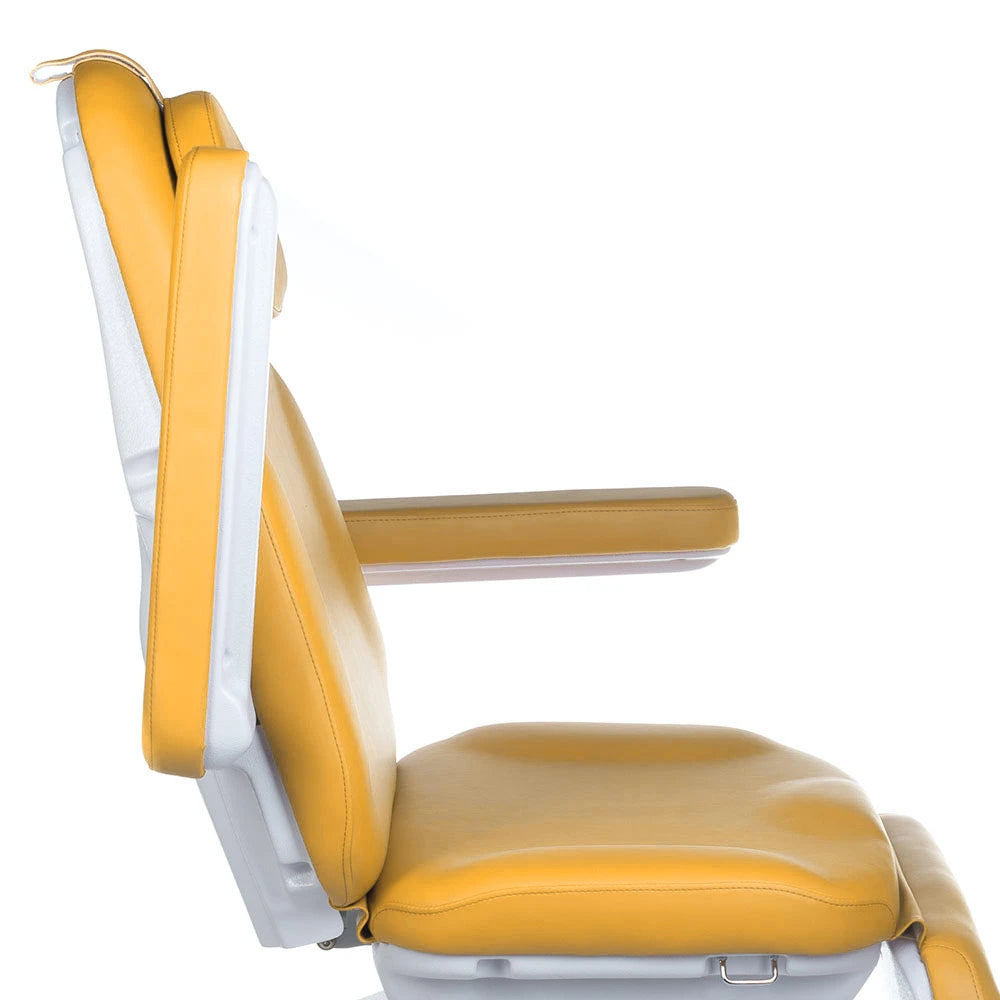 Beauty bed-couche MODENA BD-8194, 3 motors, honey