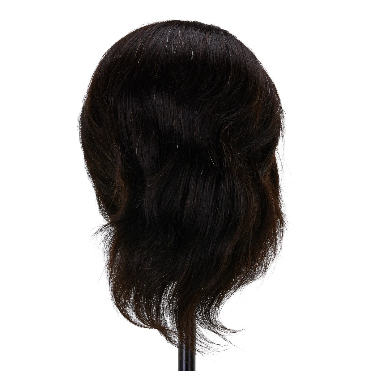 Training barber head Gabbiano WZ3 natural hair, color 1H, length 8"