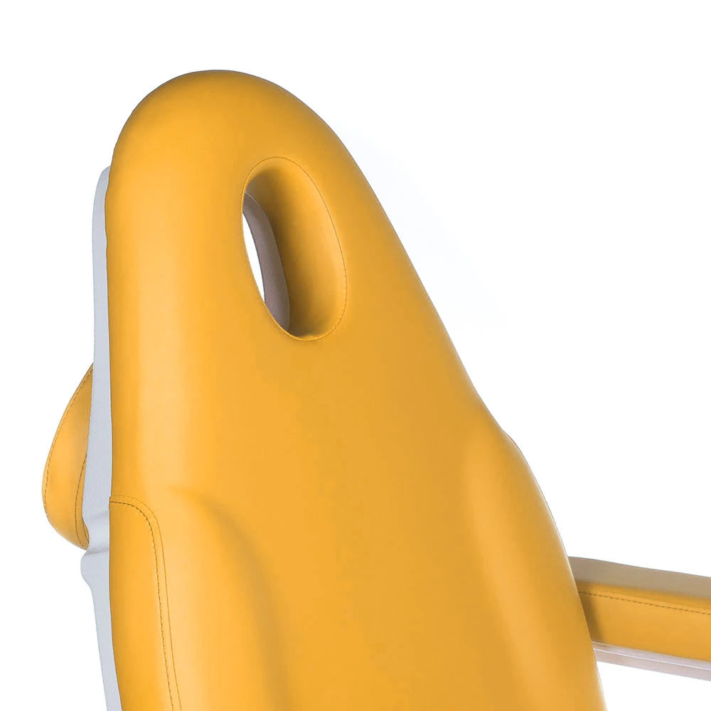 Beauty bed-couche MODENA BD-8194, 3 motors, honey