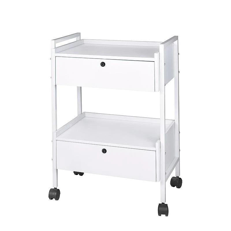 Cosmetology Cart EASY+