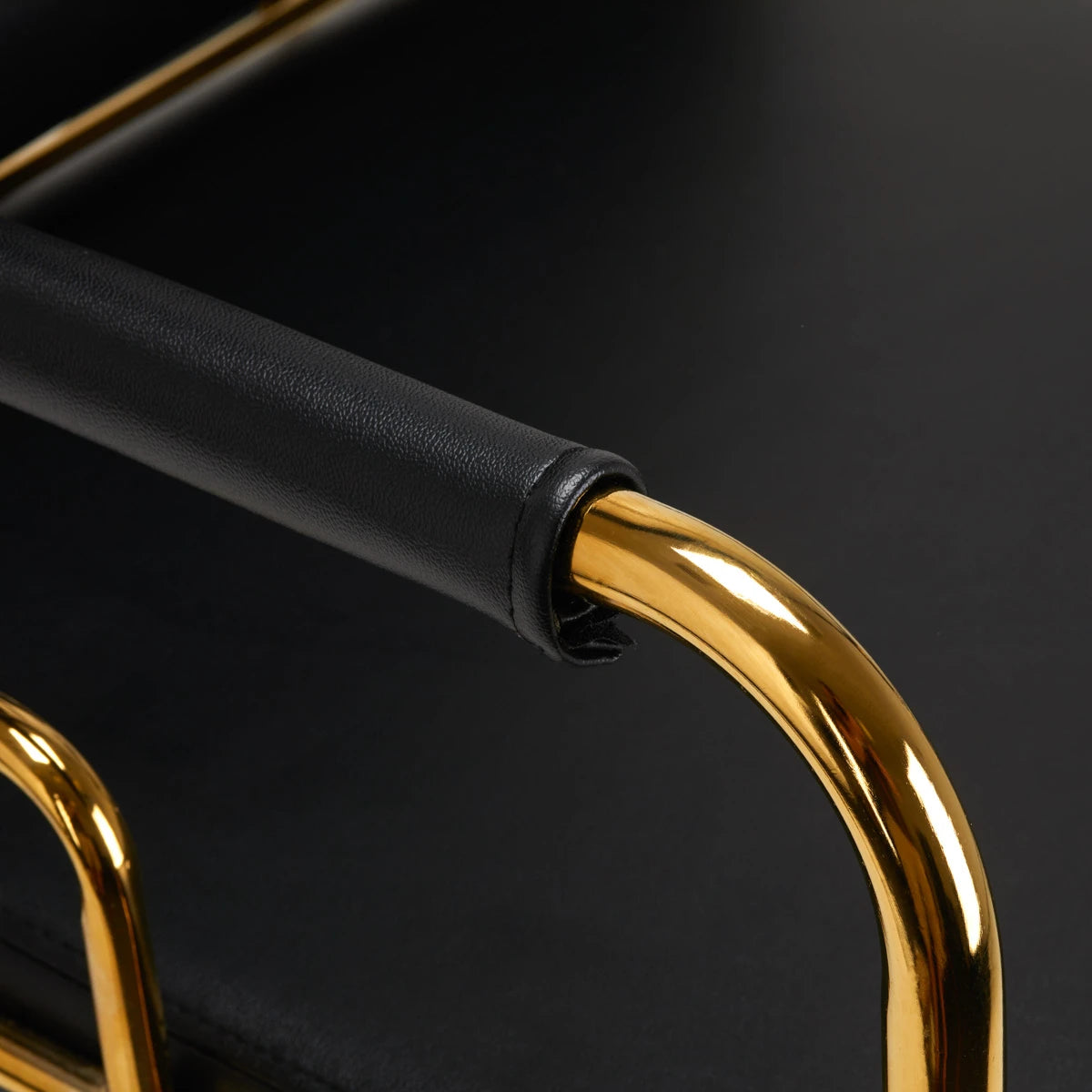 Hairdressing backwash GABBIANO PRATO GOLD - BLACK